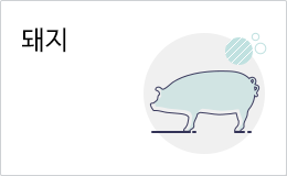 돼지